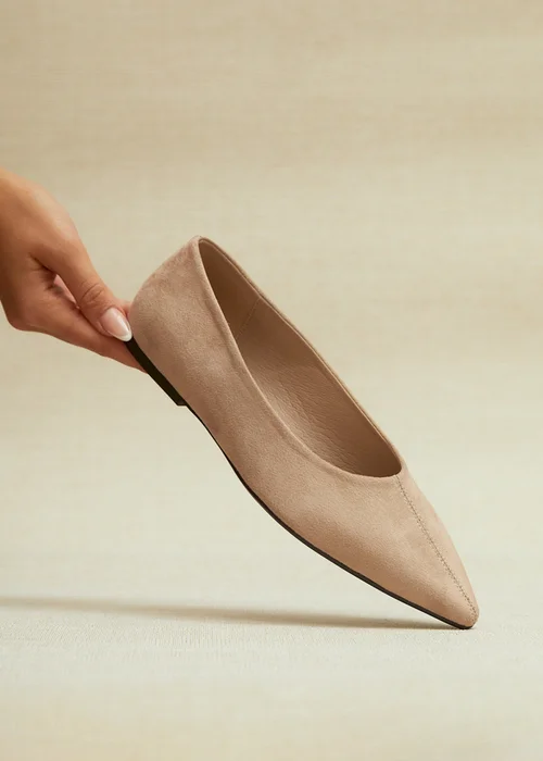 Linzi Candid Wide Fit Beige Pointed Toe Ballet Flats - 4 Image 1