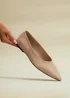 Linzi Candid Wide Fit Beige Pointed Toe Ballet Flats - 4 Image 1