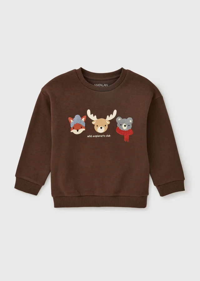 Boys Brown Autumn Animals Sweatshirt (1-8yrs)
