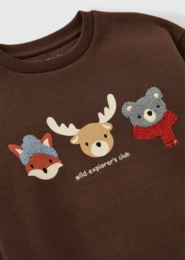 Boys Brown Autumn Animals Sweatshirt (1-8yrs)
