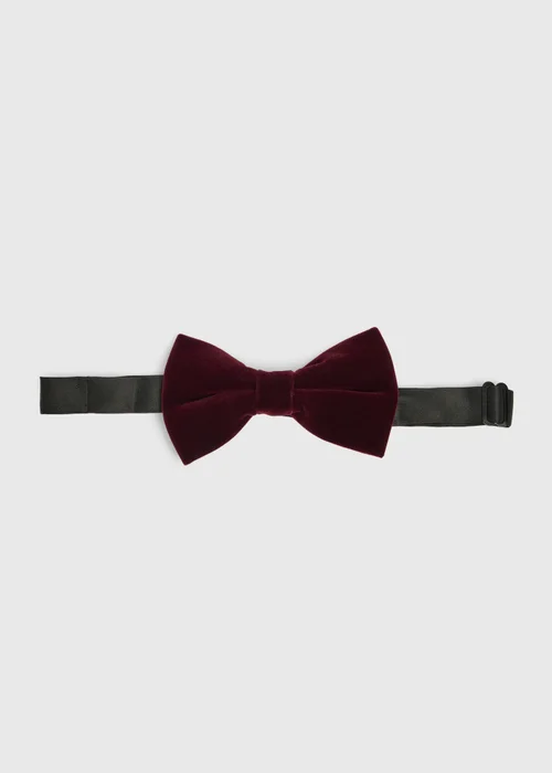 Taylor & Wright Plum Velvet Bow Tie - One Size Image 1
