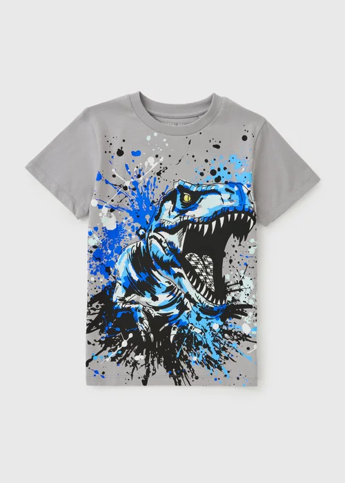 Boys Grey Dinosaur T-Shirt (7-15yrs) - 13 Yrs Image 1