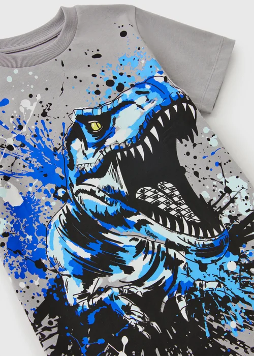 Boys Grey Dinosaur T-Shirt (7-15yrs) - 13 Yrs Image 2
