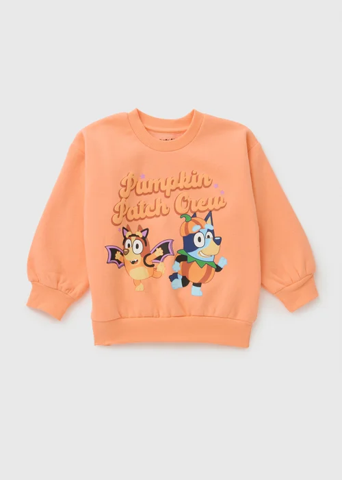 Bluey Kids Orange Pumpkin Sweatshirt - 2-3 Yrs Image 1