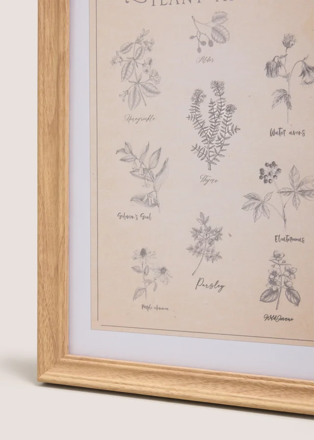Vintage Botanical Wall Art