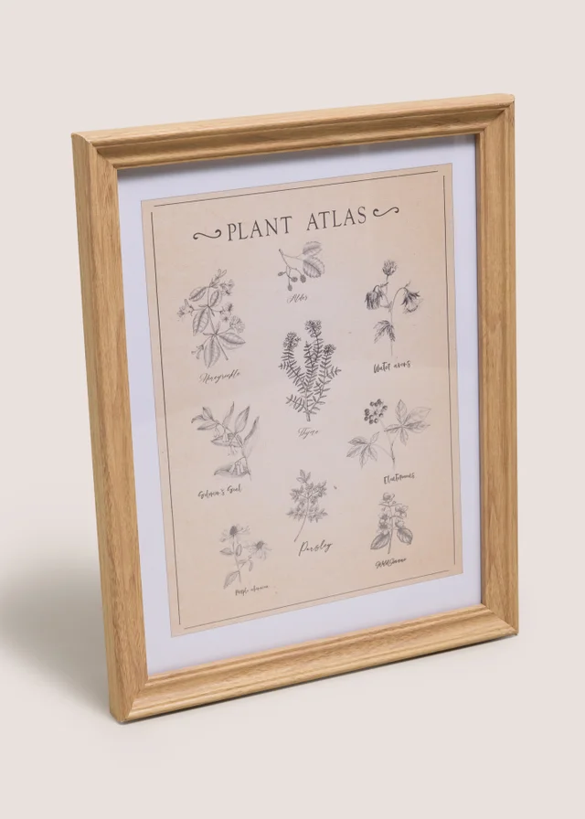 Vintage Botanical Wall Art