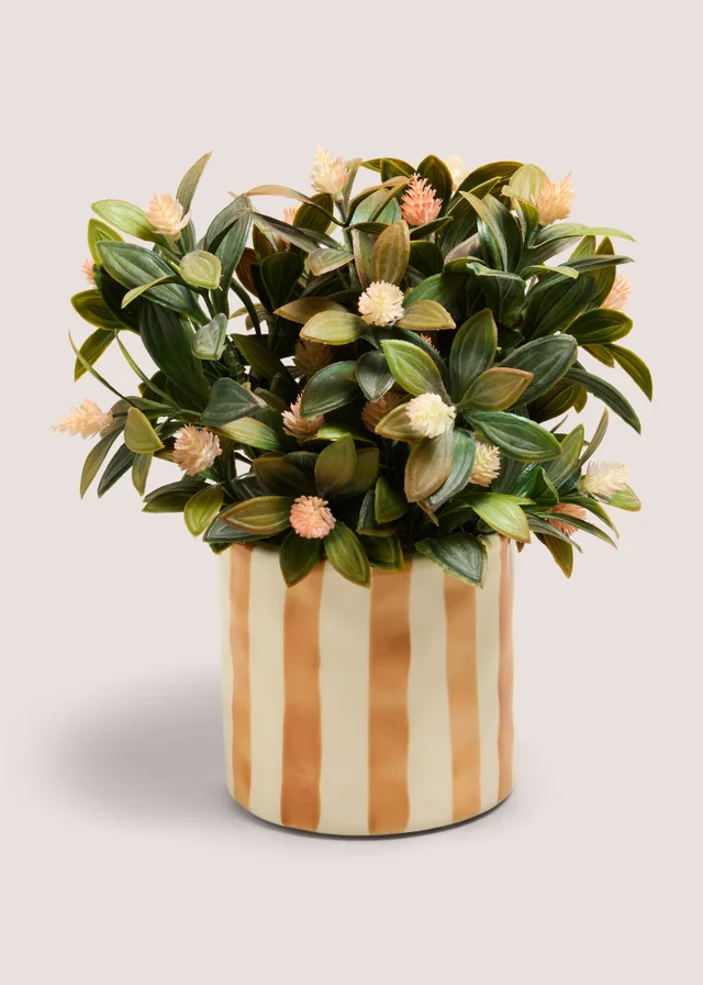 Orange Flowers In Striped Pot