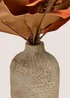 Rust Leaf Plant With Pot Image 2