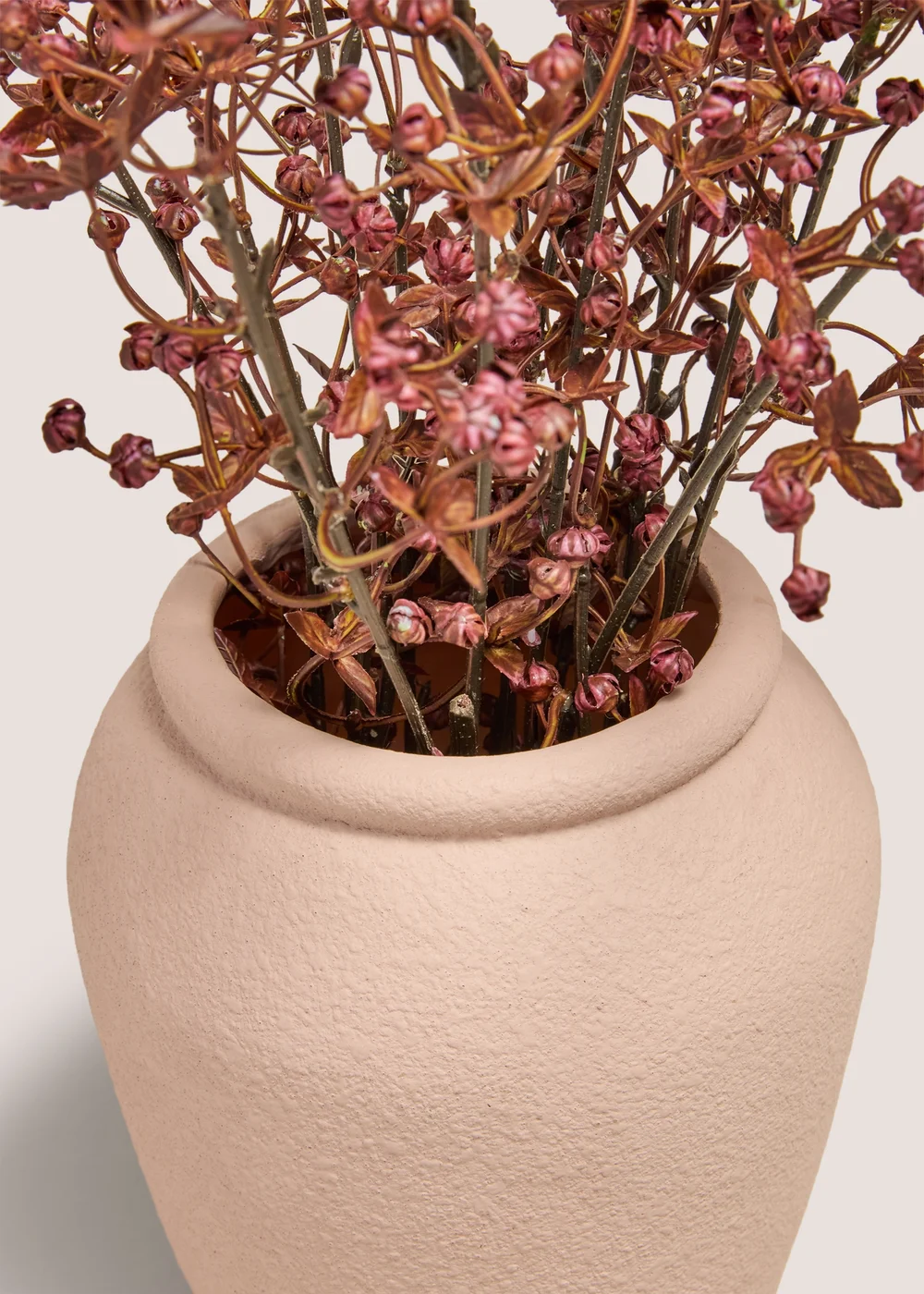 Burgundy Sprig Plant In Pot Image 2