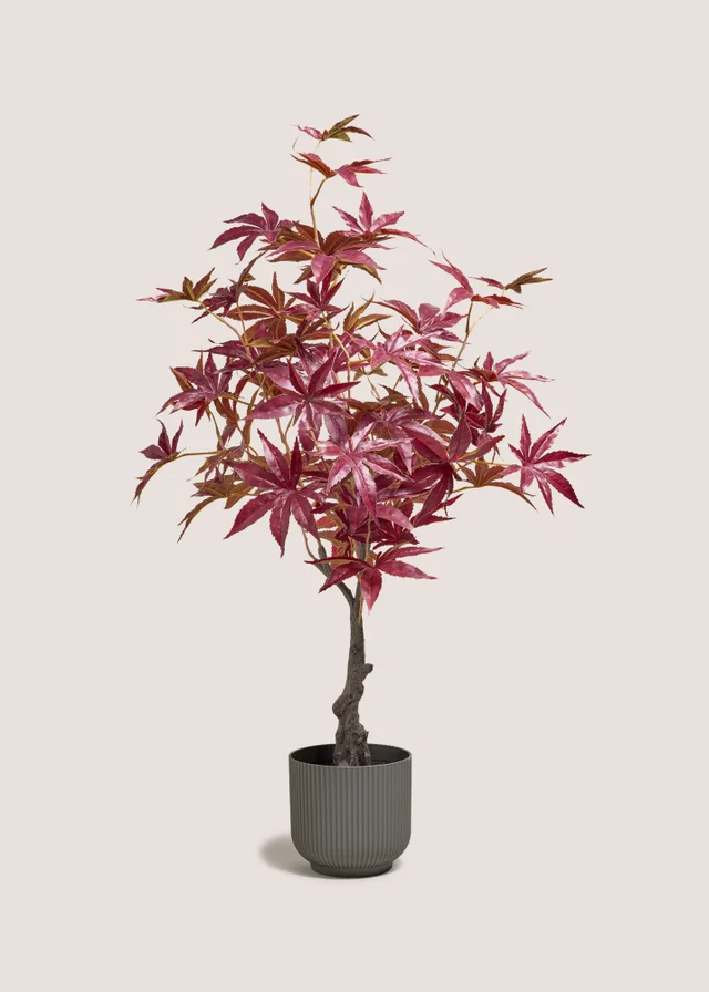 Burgundy Tree
