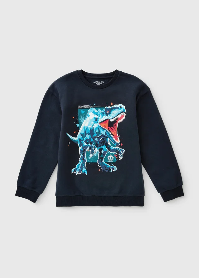 Boys Navy Dino Sweatshirt (7-15yrs)