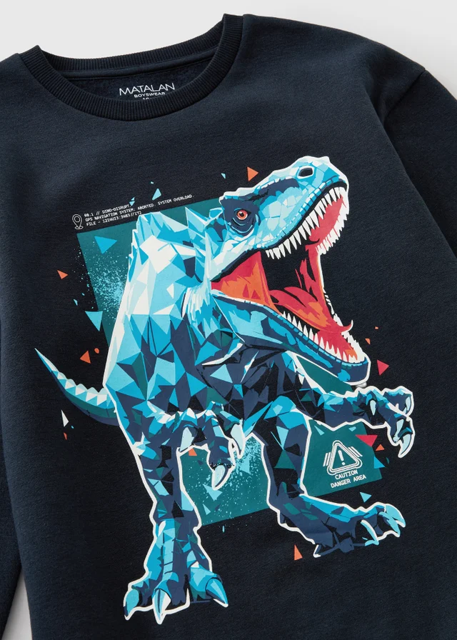 Boys Navy Dino Sweatshirt (7-15yrs)