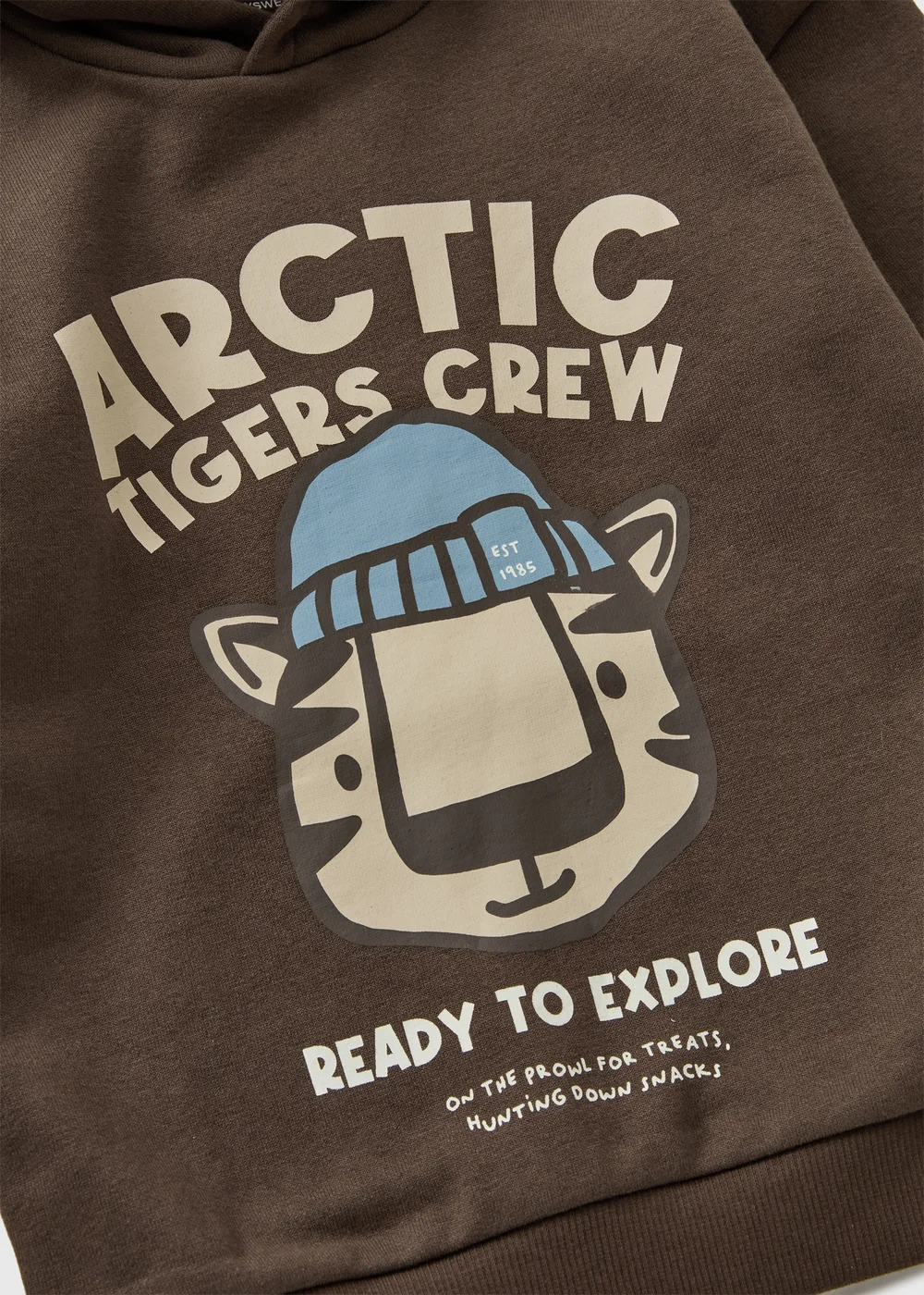 Boys Brown Arctic Club Hoodie (1-8yrs) - 1-1.5 Yrs Image 2