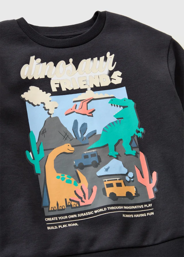 Boys Black Dinosaur Sweatshirt (1-8yrs)