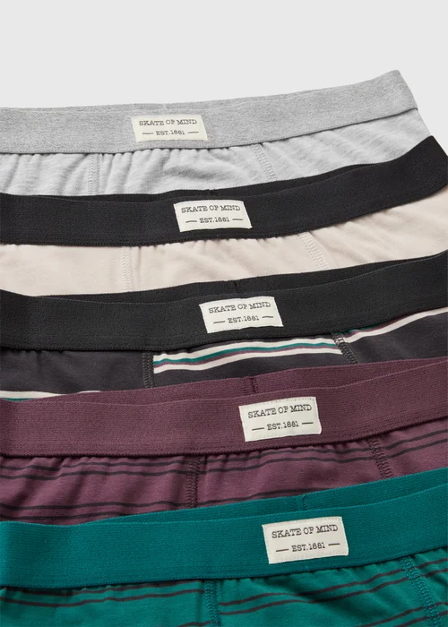 Boys 5 Pack Stripe Multicoloured Boxer Set (2-11 Yrs) - 2-3 Yrs Image 2