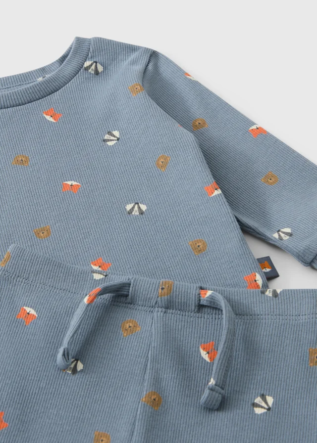 Baby Blue Animal Print Ribbed Top & Leggings Set (0-23mths)