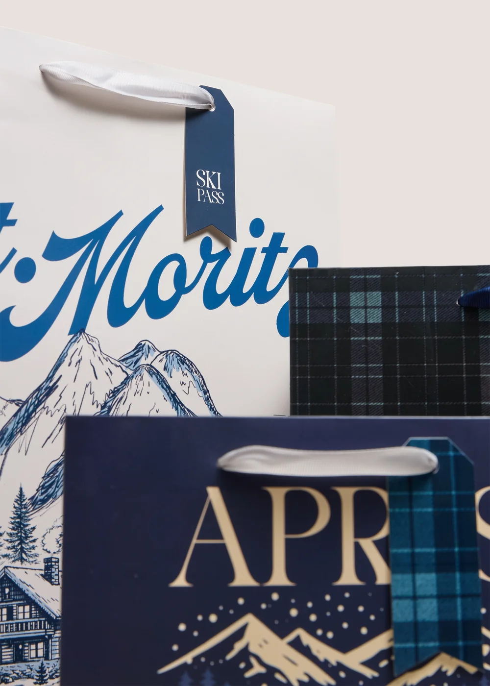 3 Pack Ski Lodge Gift Bags Image 2