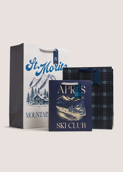 3 Pack Ski Lodge Gift Bags Image 1