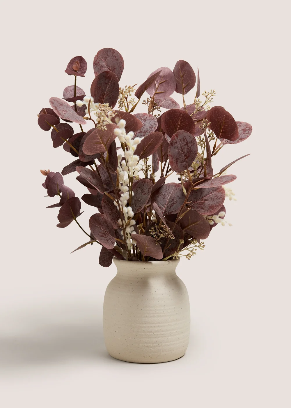Dark Eucalyptus In Pot Image 1