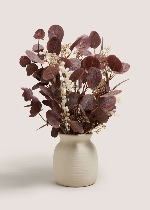 Dark Eucalyptus In Pot Image 1