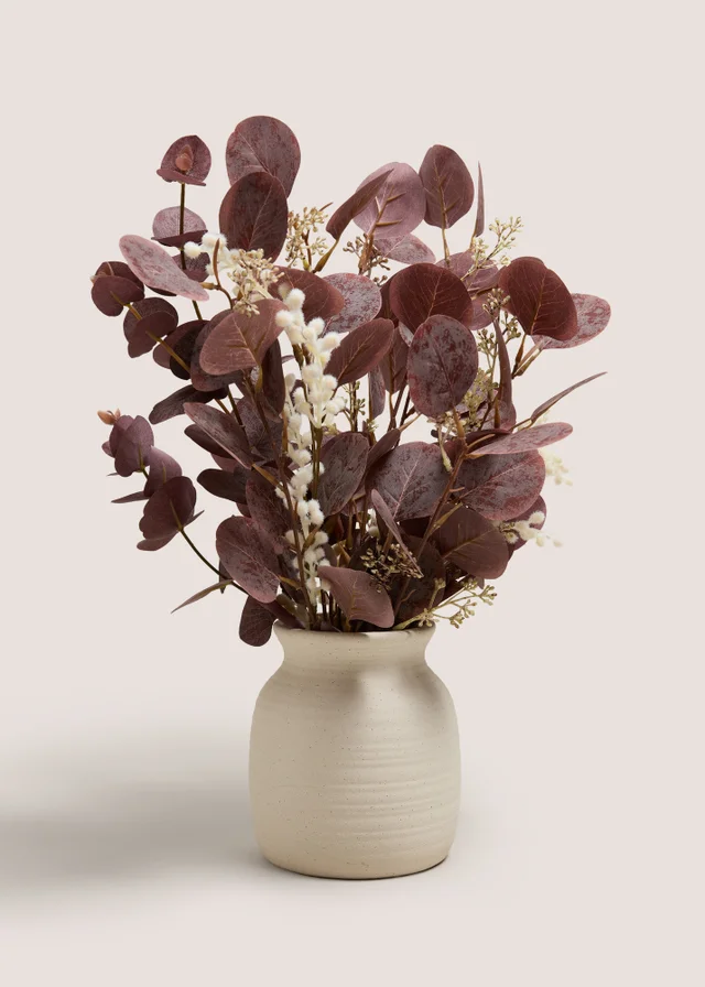Dark Eucalyptus In Pot