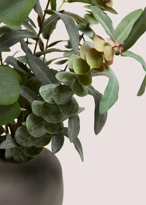 Dark Greenery & Black Pot Image 2