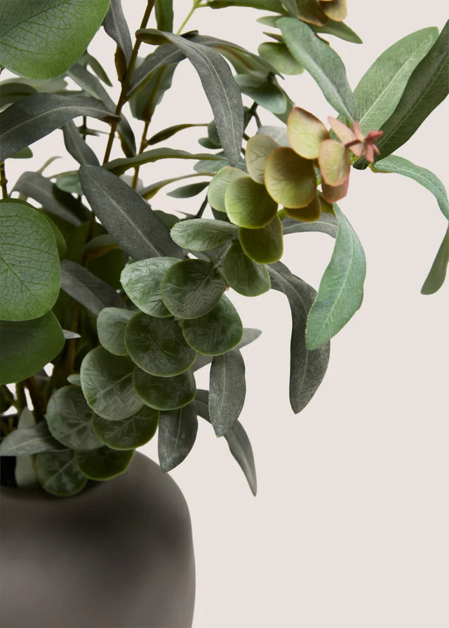 Dark Greenery in a Grey Pot
