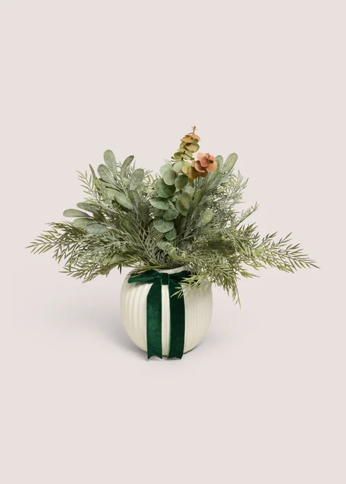 Frosted Eucalyptus Plant With Bow Image 1