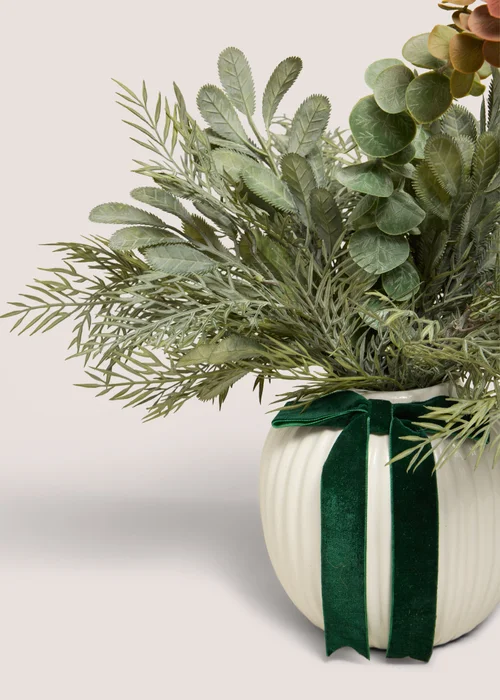 Frosted Eucalyptus Plant With Bow Image 2