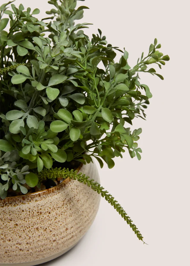 Shrub & Reactive Pot