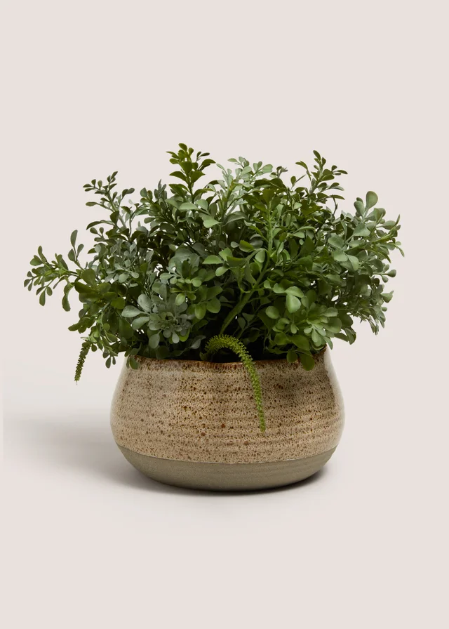 Shrub & Reactive Pot