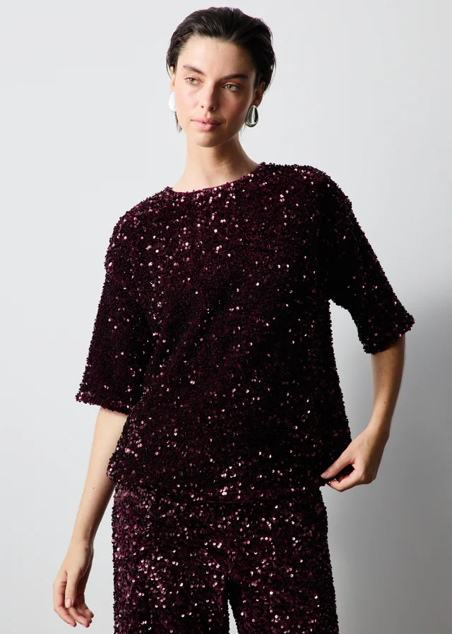Sequin Short Sleeve Top