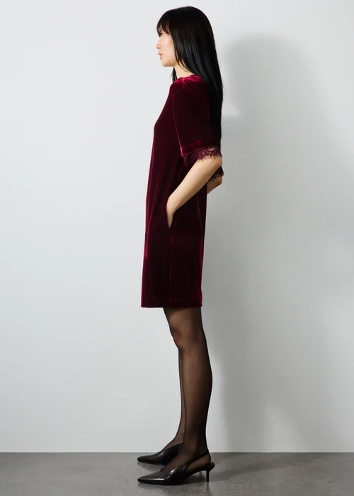 Wine Lace Trim Velvet Mini Dress - 8 Image 4
