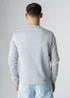 Influence Grey Cotton Blend Crew Neck Acid Wash Seam Sweatshirt - S Image 2