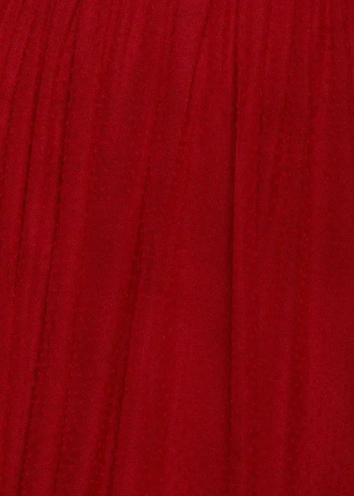 Goddiva Red Sleeveless Pleated Dobby Mesh Corsage Maxi Dress - 18 Image 4