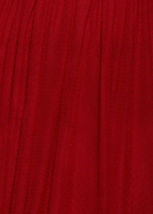 Goddiva Red Sleeveless Pleated Dobby Mesh Corsage Maxi Dress - 16 Image 4