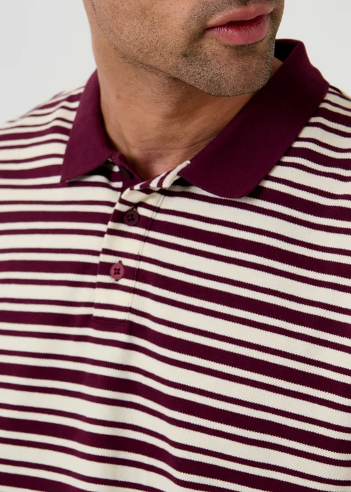 Threadbare Plum Relaxed Fit Stripe Polo Shirt - S Image 5
