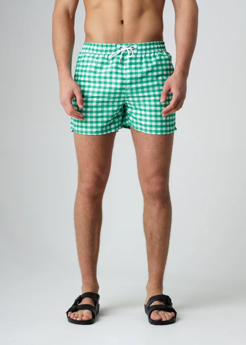 Influence Green Elasticated Gingham Print Swim Shorts - XL Image 1