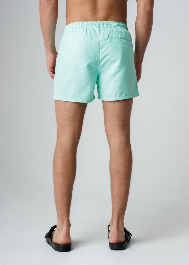 Influence Blue Elasticated Colourblock Swim Shorts