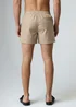 Influence Taupe Elasticated Stripe Swim Shorts - M Image 2