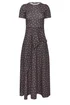 PixieGirl Petite Chocolate Brown Spot Maxi Dress - 12 Image 5