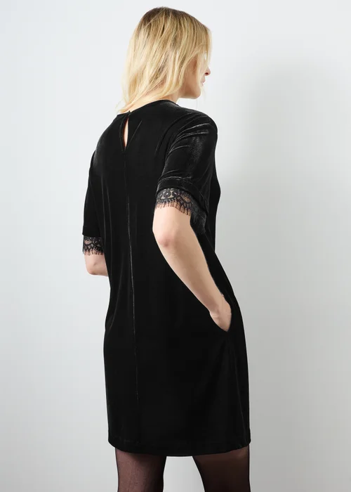Black Velvet Lace Embellished Dress - 8 Image 2