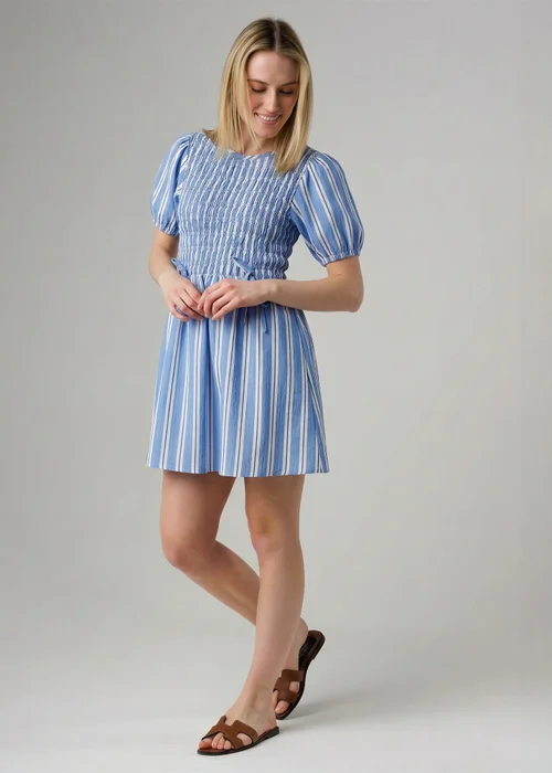 Wednesday’s Girl Blue Cotton Striped Shirred Puff Sleeve Mini Dress - 22 Image 1