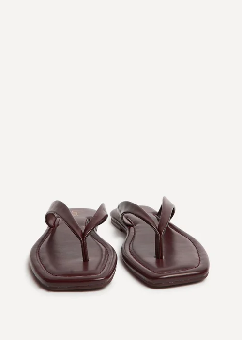 Linzi Element Burgundy Toe Post Flat Sandals - 4 Image 3