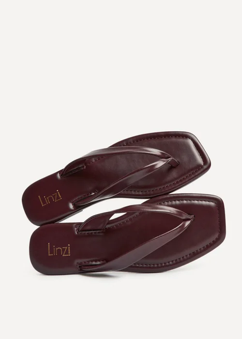Linzi Element Burgundy Toe Post Flat Sandals - 4 Image 5