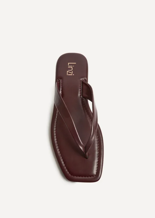 Linzi Element Burgundy Toe Post Flat Sandals - 4 Image 4