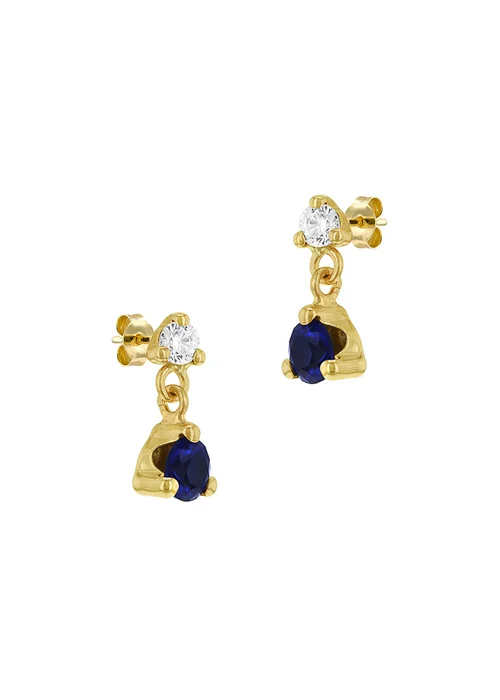 Golden Moments 9ct Yellow Gold Blue & White CZ Drop Stud Earrings - One Size Image 2