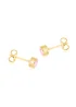 Golden Moments 9ct Yellow Gold Round Pink CZ Stud Earrings - One Size Image 3