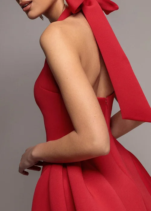 Goddiva Red Corset Fit & Flare Halter Neck Skater Mini Dress - 14 Image 5