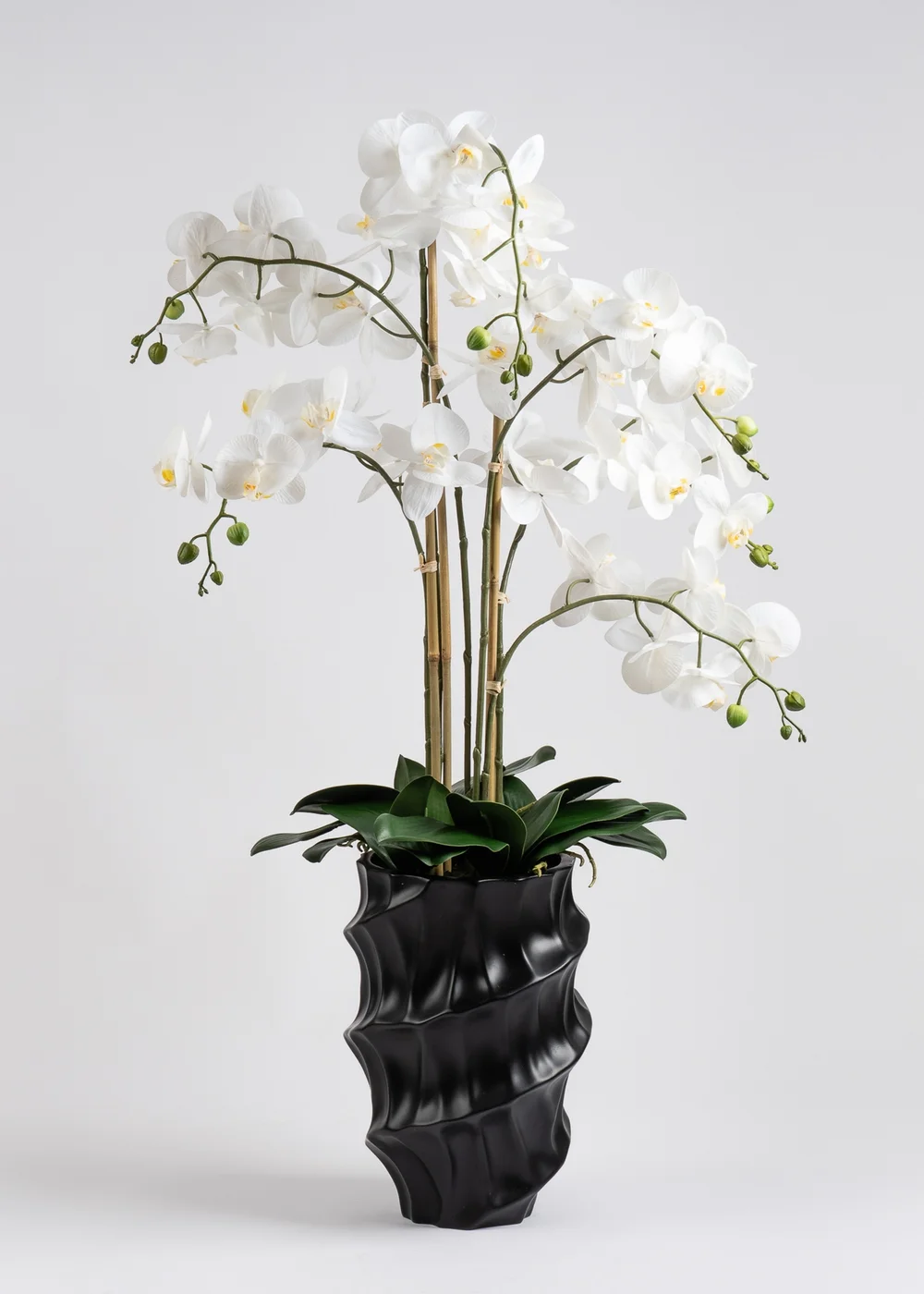Scottish Everlastings Real Touch Phalaenopsis Orchid in Pot 110cm - One Size Image 2
